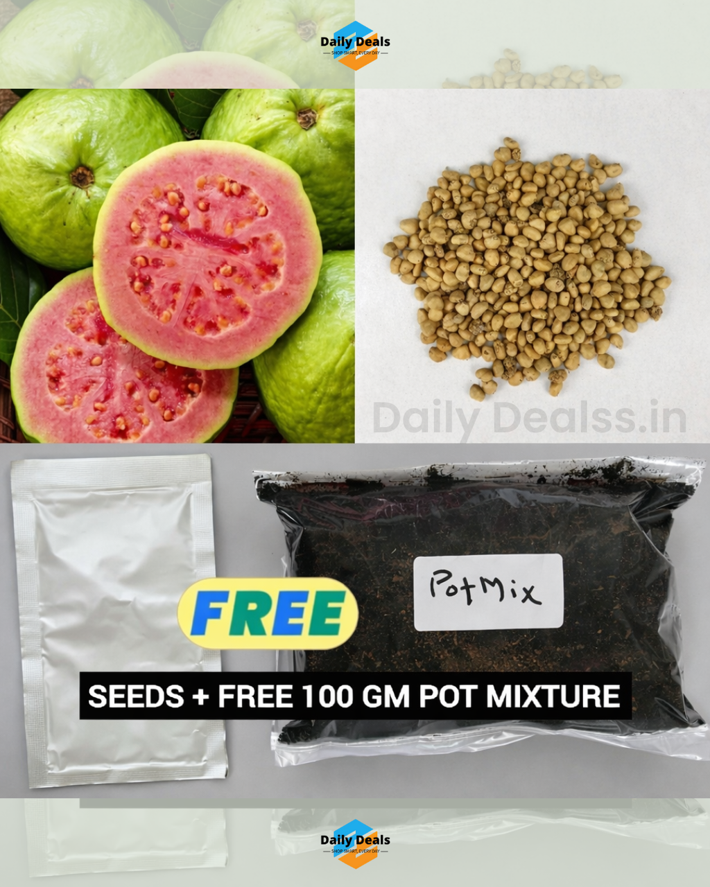 Imported Guava Seeds – Grow Fresh & Healthy Guavas at Home